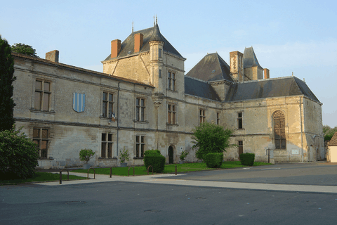 Château de Coulonges