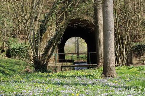 Pont de 5 mètres au printemps